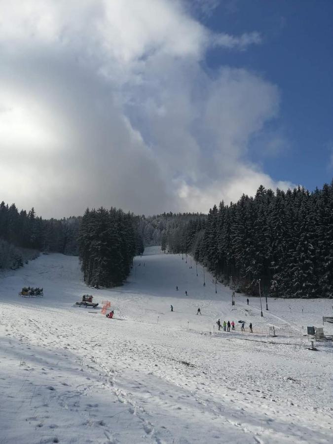 Penzion Ctyrlistek Teplice nad Metují Екстериор снимка