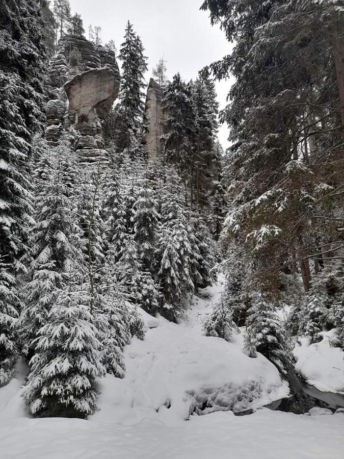 Penzion Ctyrlistek Teplice nad Metují Екстериор снимка