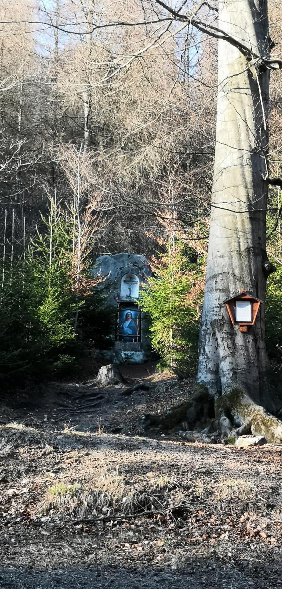 Penzion Ctyrlistek Teplice nad Metují Екстериор снимка