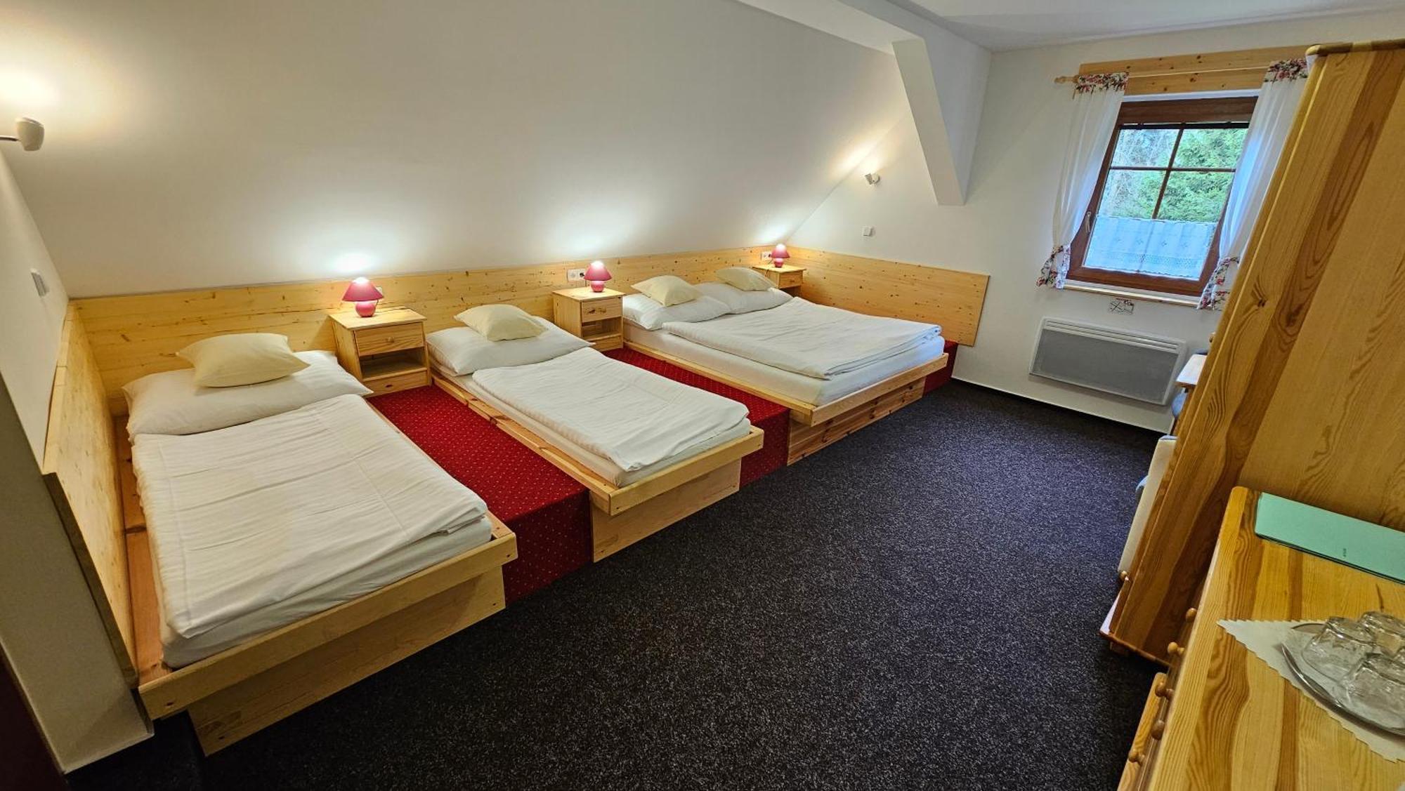 Penzion Ctyrlistek Teplice nad Metují Екстериор снимка